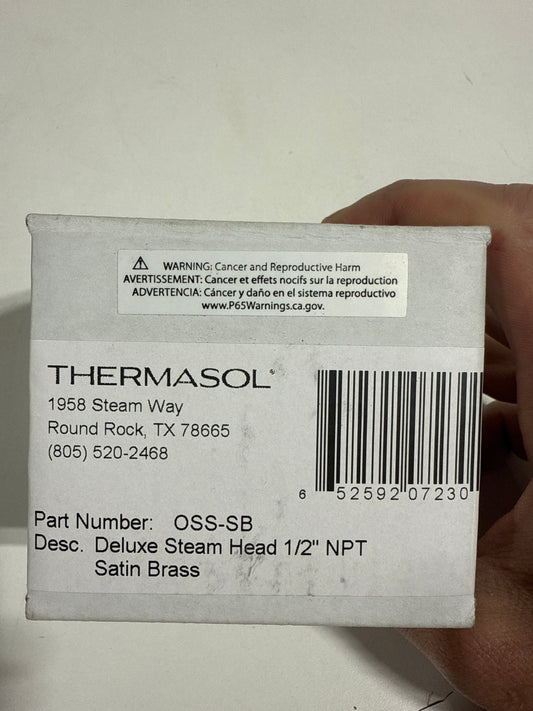 ThermaSol Commercial Steam Head Satin Brass