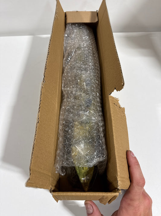 Underwater Treasures RMS Titanic Fish Ornament