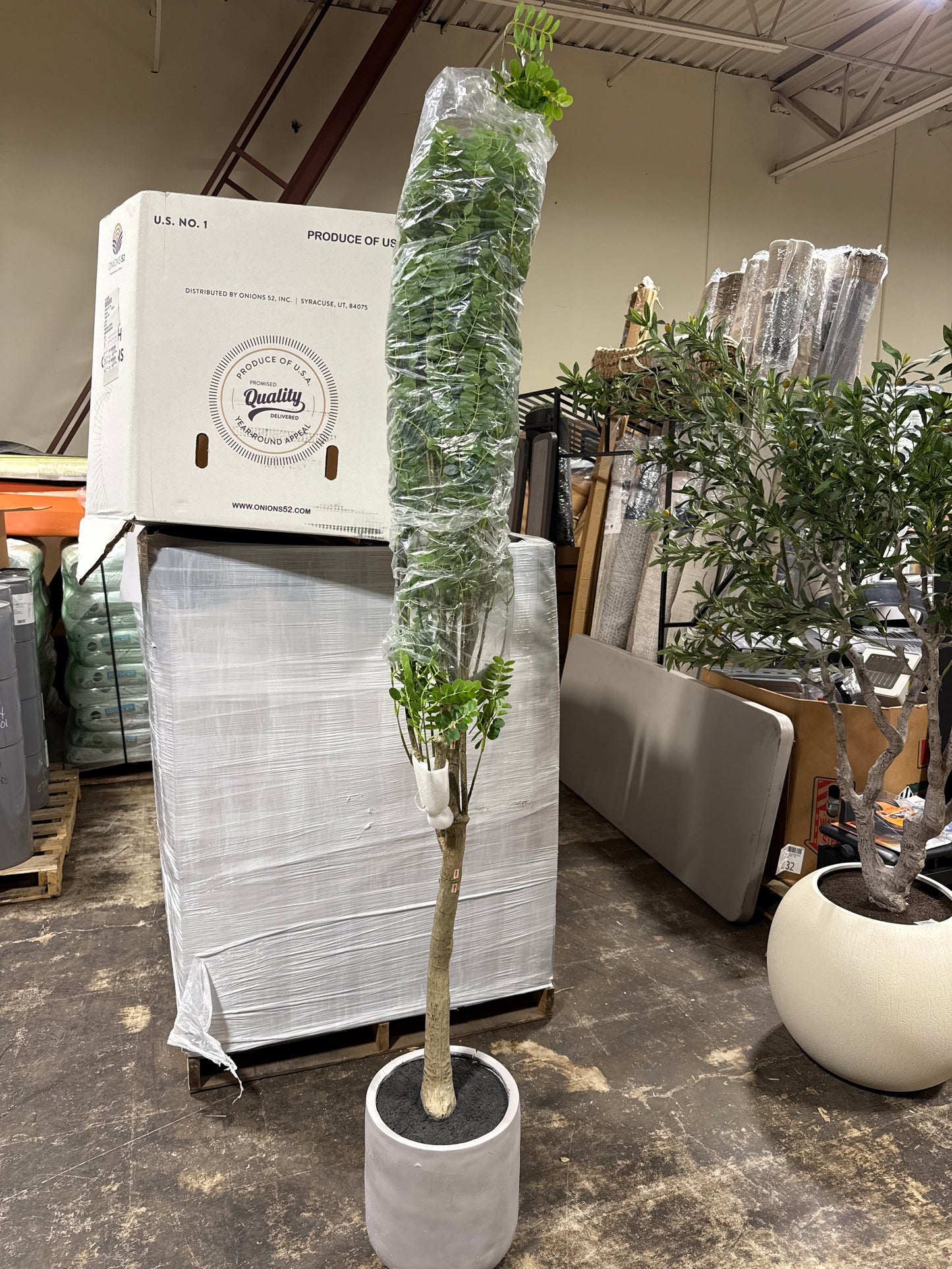 Damage Faux 7.5' Citrus Tree