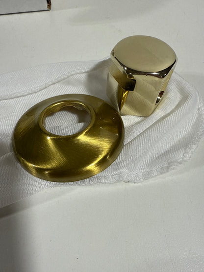 ThermaSol Commercial Steam Head Satin Brass