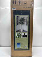 CGH Faux 6.5' Ficus Tree