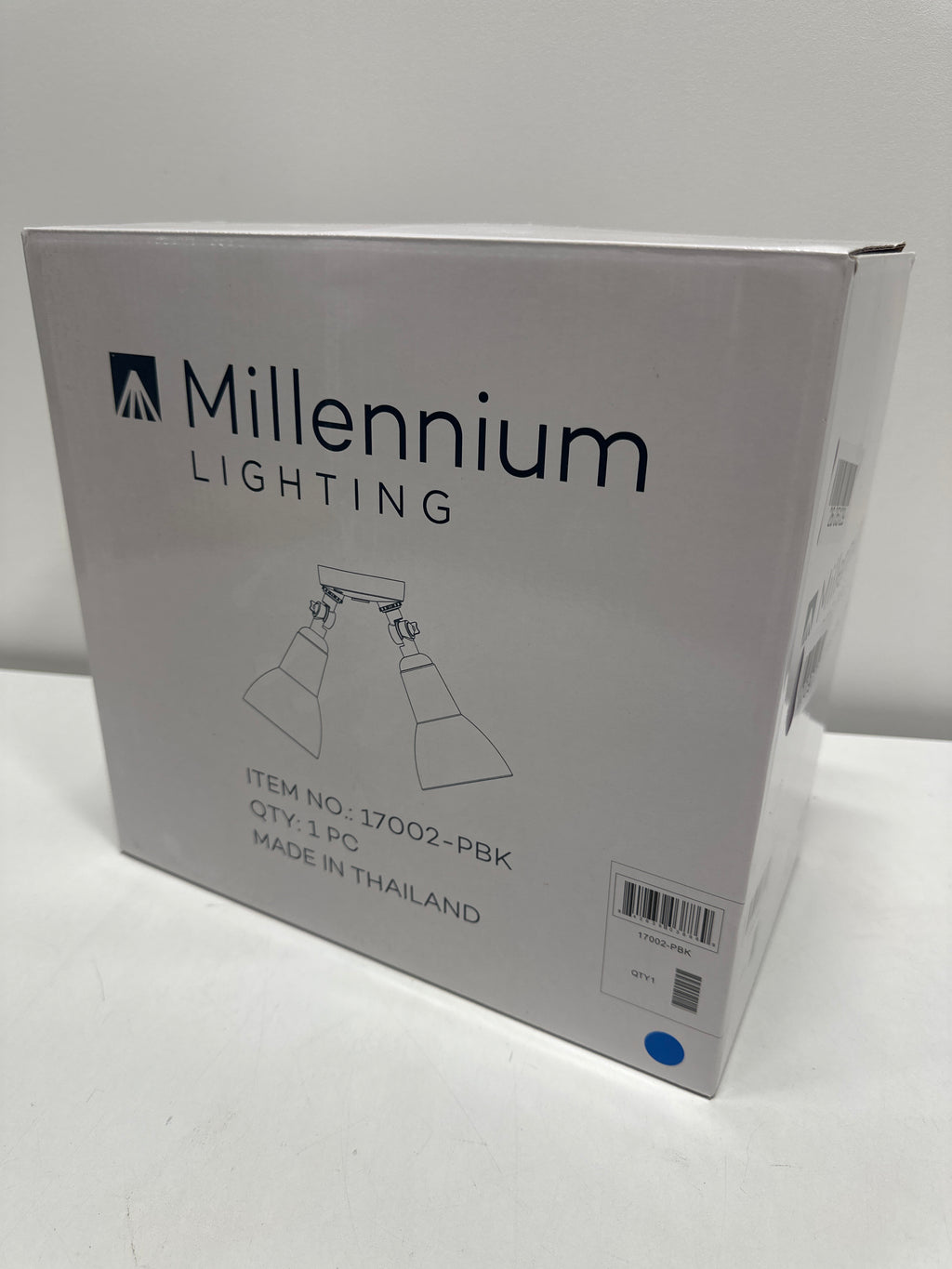 Millennium Lighting 17002 Twin Head 16 Wide Adjustable Flood Light - Black