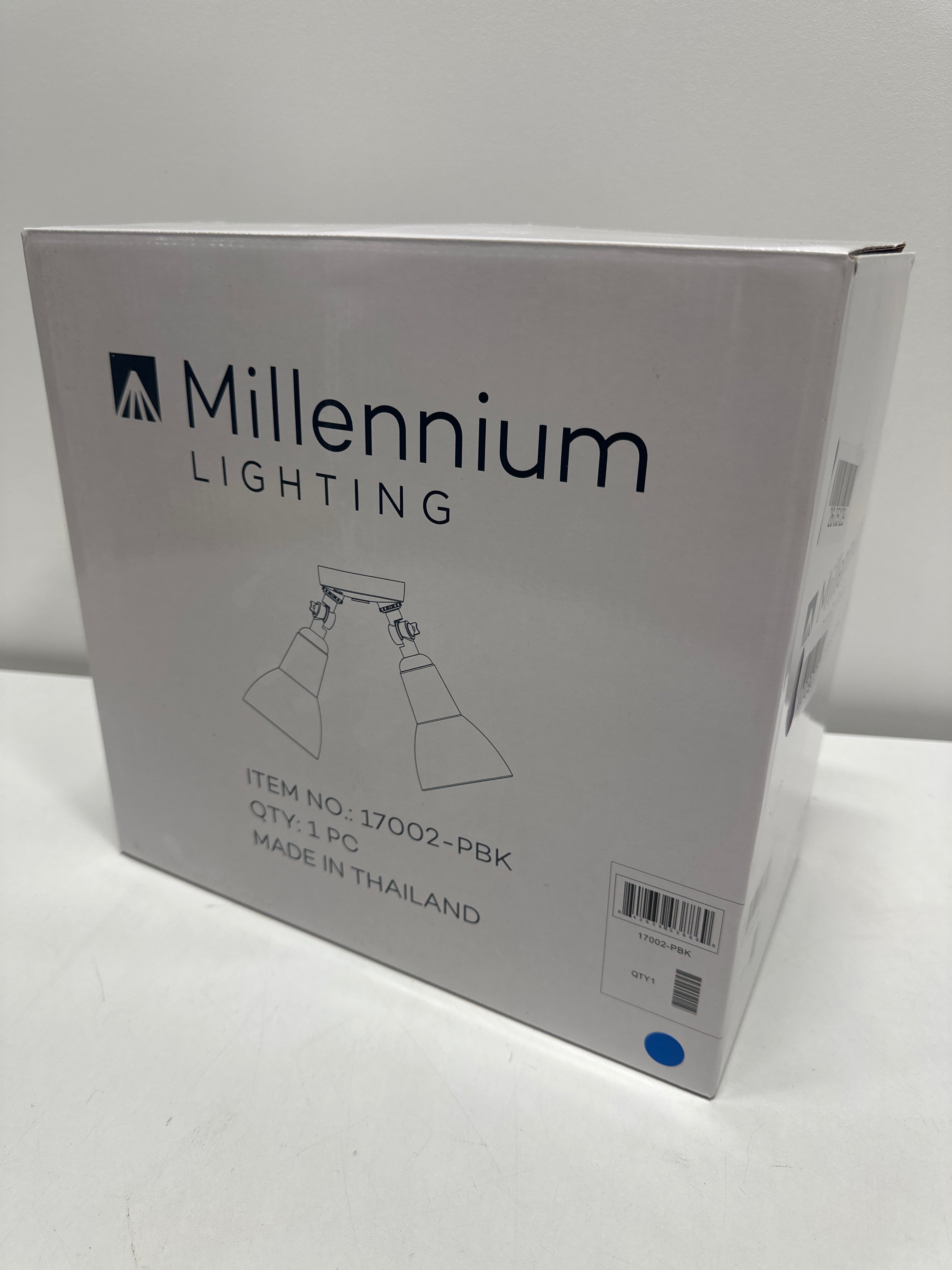 Millennium Lighting 17002 Twin Head 16 Wide Adjustable Flood Light - Black