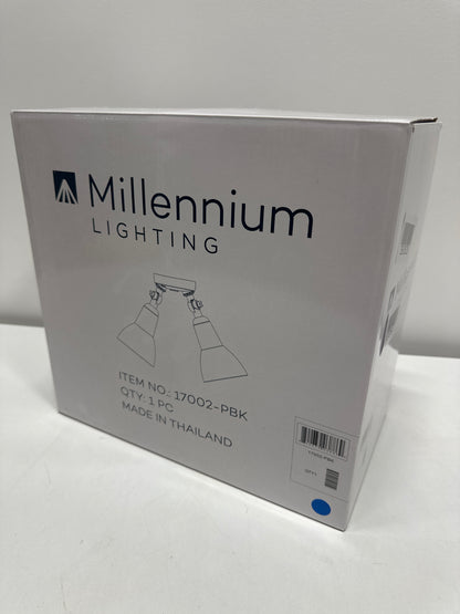Millennium Lighting 17002 Twin Head 16 Wide Adjustable Flood Light - Black