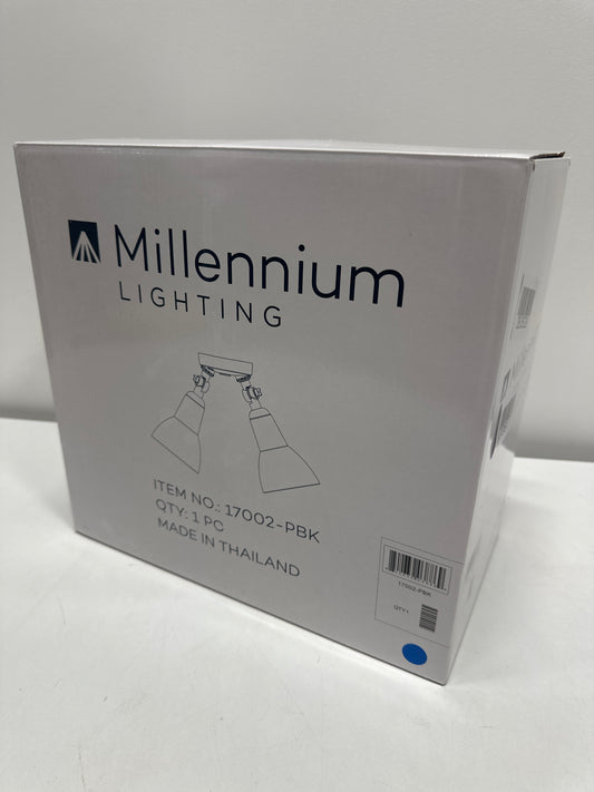 Millennium Lighting 17002 Twin Head 16 Wide Adjustable Flood Light - Black