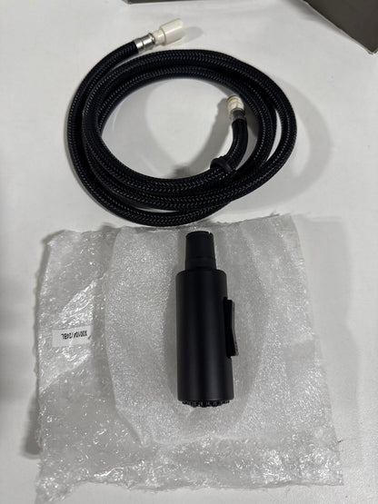 Brizo Odin Replacement Kitchen Faucet Spray Head and Hose Assembly