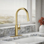 Kohler Rodean Kitchen Sink Faucet Gold