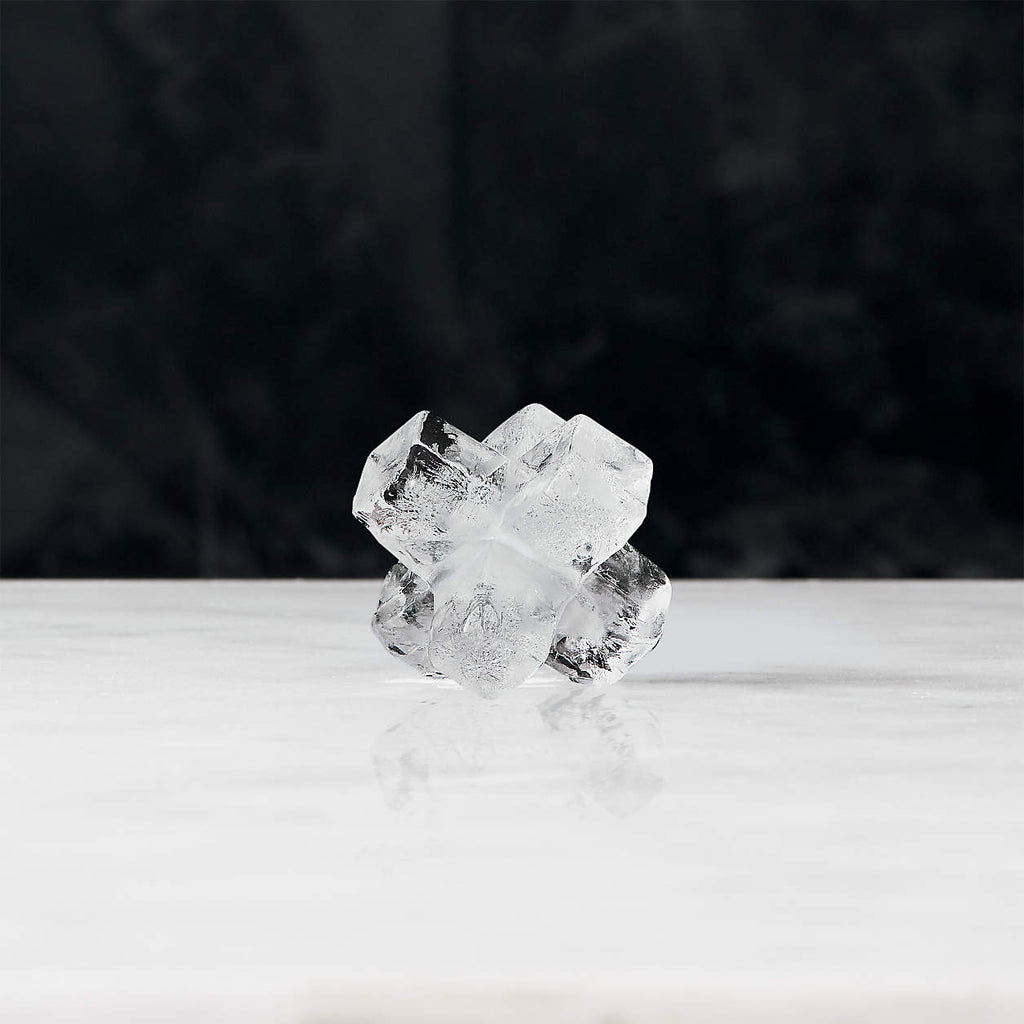 Crate&Barrel Jack Ice Mold - 2 Pack