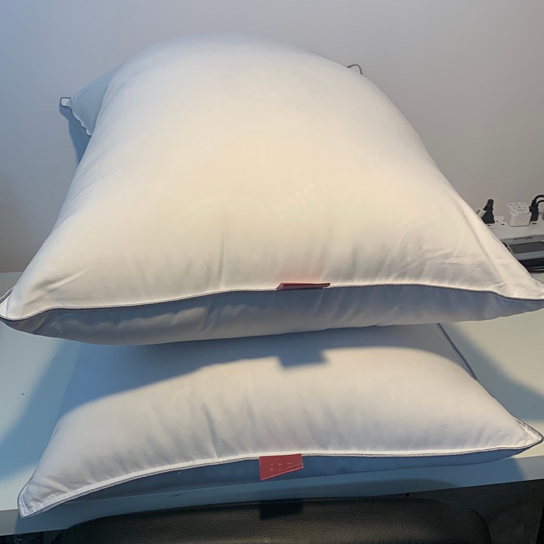 2 Queen ELLA JAYNE White Down Firm Pillow, with MicronOne Technology,